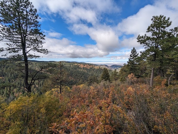 Lincoln National Forest