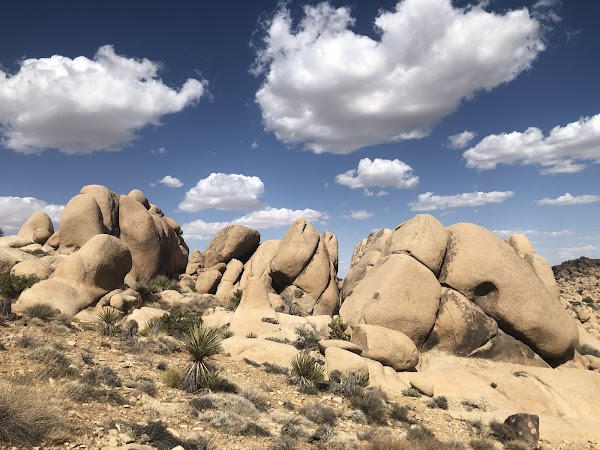 Split Rock Loop Trail