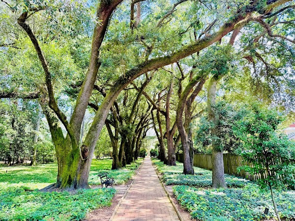 Hopelands Gardens