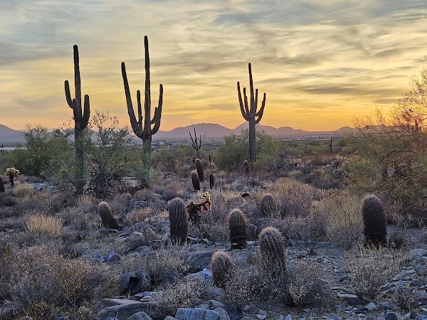 Gateway Trailhead - McDowell Sonoran Preserve