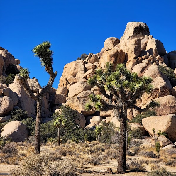 Hidden Valley Nature Trailhead
