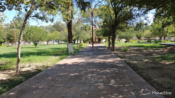 Jiménez Main Square