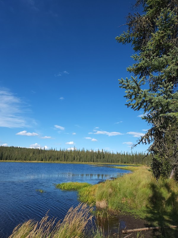 UAF Trail System