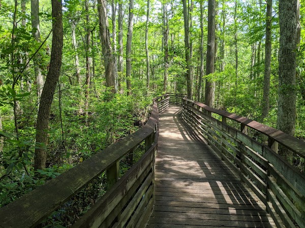 First Landing State Park