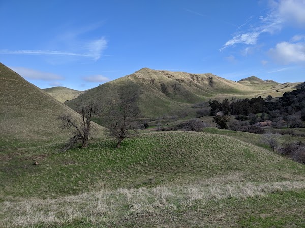 Black Diamond Mines Regional Preserve
