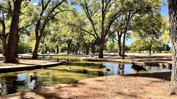 Lucy Park Duck Pond