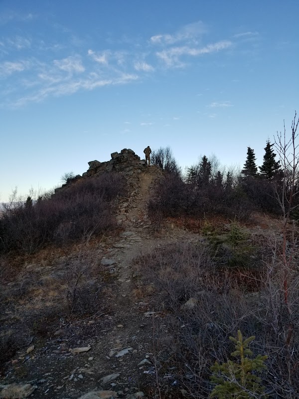 Ester Dome Singletrack