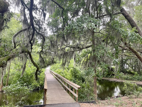 Cypress Wetlands