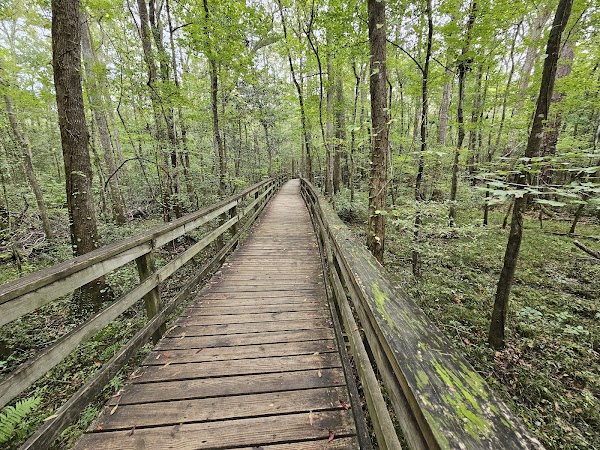 Harry Hampton Visitor Center