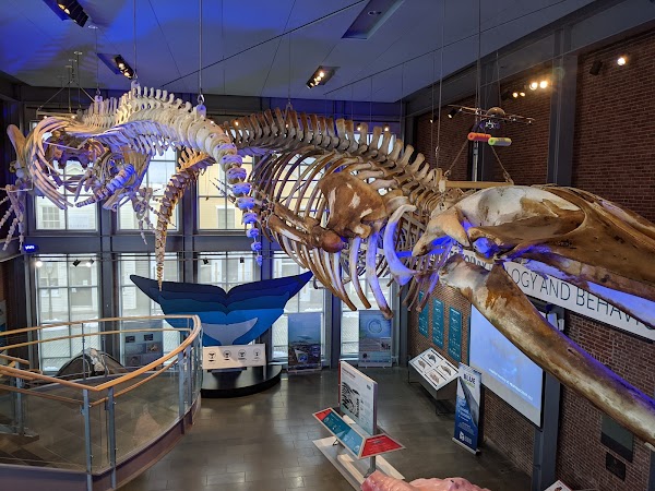 New Bedford Whaling Museum