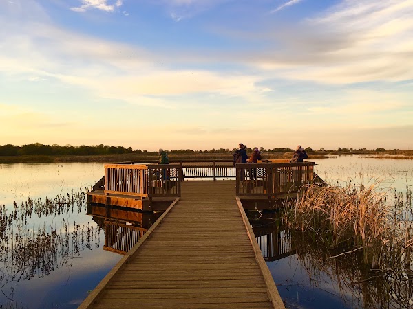 Cosumnes River Preserve