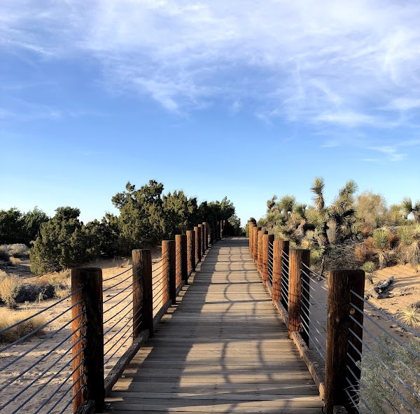 Prime Desert Woodland Preserve