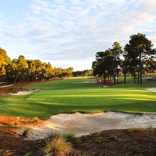 Pinehurst No. 2