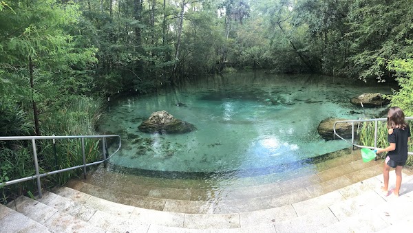Williford Spring