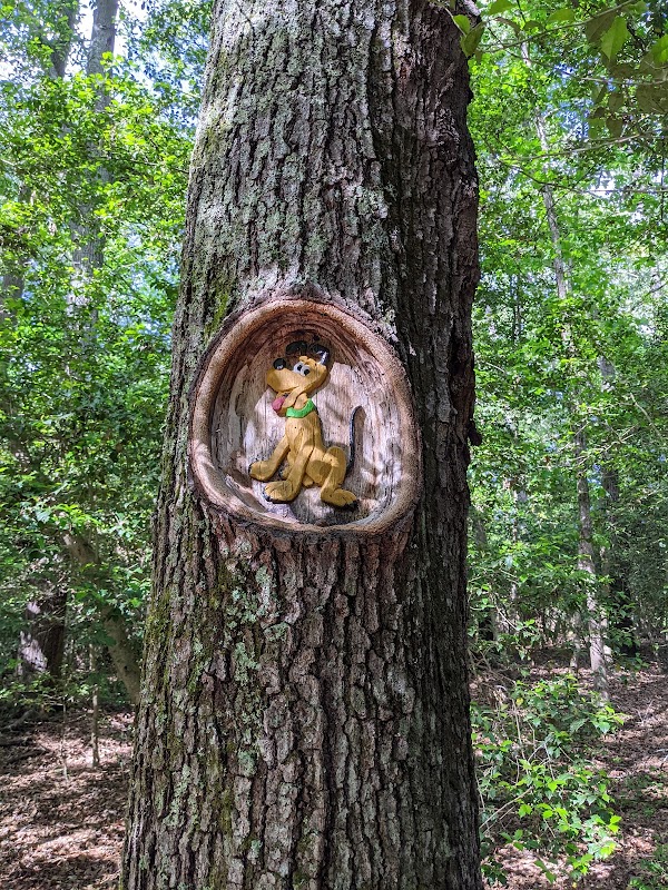 Tom Rhodes Tree Carving Trail