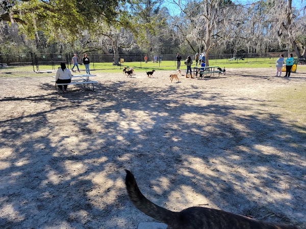 Freedom Park Dog Park