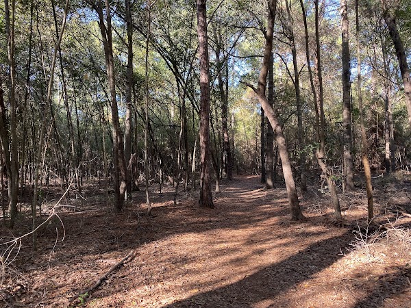 Forever Wild Trails