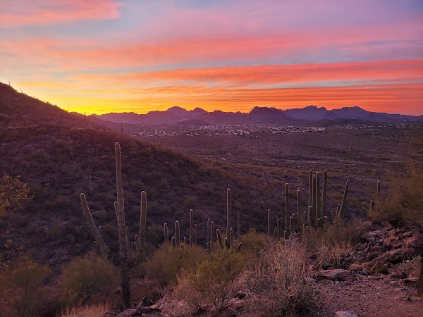 Tumamoc Hill Hiking Trail