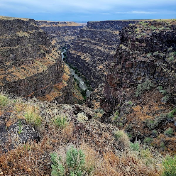 Bruneau Canyon Overlook