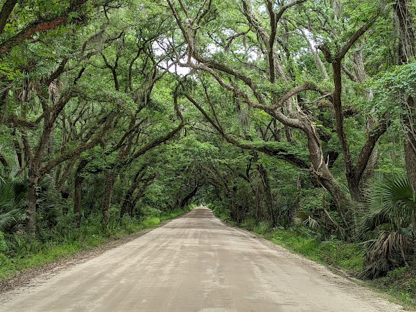 Botany Bay Heritage Preserve/Wildlife Management Area