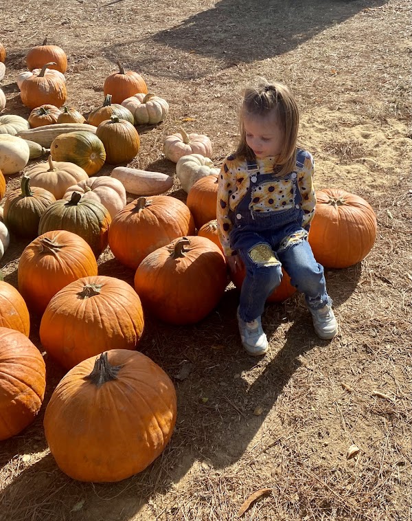 C & W Farm Pumpkin Patch