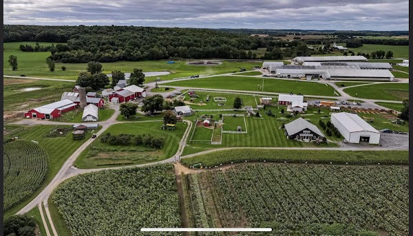 Old McDonald's Farm