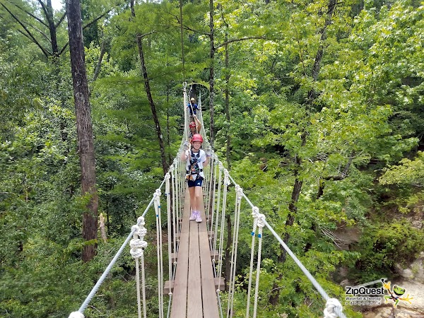 ZipQuest - Waterfall & Treetop Adventure