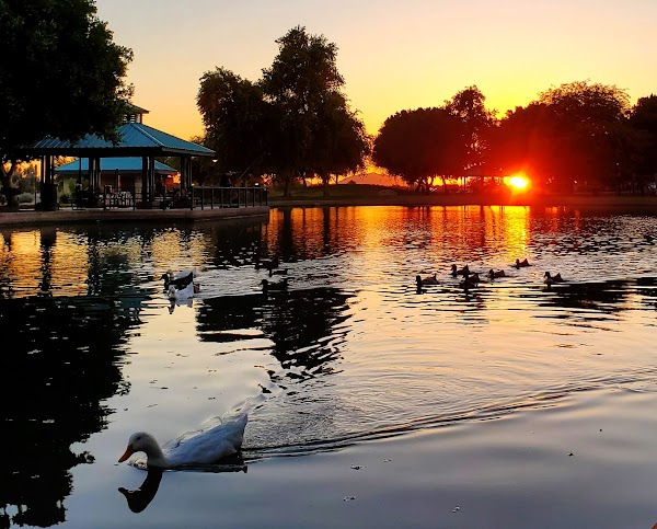 Wetlands Park