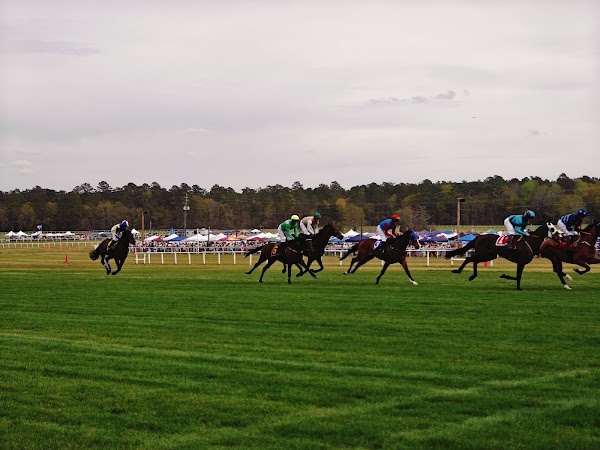 The Carolina Cup