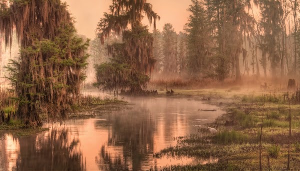 Phinizy Swamp Nature Park